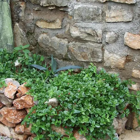 Casa Sergio & Affittacamere Budua
